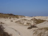 Pannenkoekenmolenloop 2016 - 33.jpg